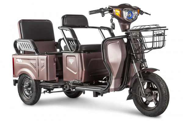 Трицикл eltreco rutrike вагон