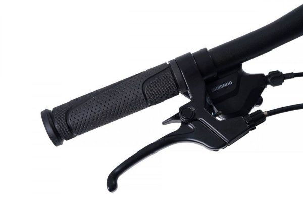 Велосипед Maxiscoo "S009" 20'' (2024)